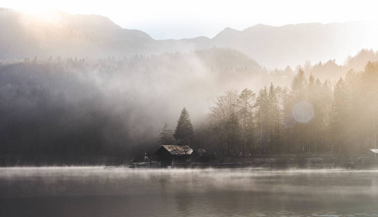 water, lake, river, liquid, fog, sky, house, people, man, rural, forest, plants, trees, pine, grass, swimming, fence, vehicle, car, fish, net, post, light, mountain
, 