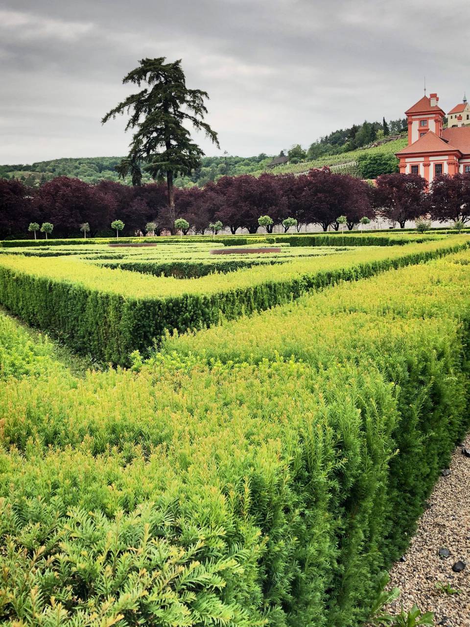 Maze, Labyrinth, Puzzle, Confusion, Pathway, Challenge, Complexity, Navigation, Solution, Direction, Journey, Explore, Adventure, Enigma, Intricate, Choices, Lost, Conundrum, Discovery, Escape, Search, Perplexing, Decision-making, Unraveling, 