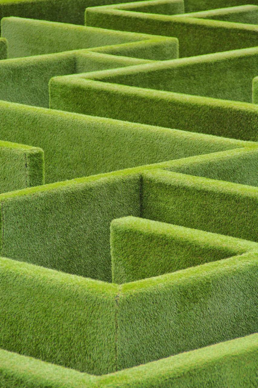 Maze, Labyrinth, Puzzle, Confusion, Pathway, Challenge, Complexity, Navigation, Solution, Direction, Journey, Explore, Adventure, Enigma, Intricate, Choices, Lost, Conundrum, Discovery, Escape, Search, Perplexing, Decision-making, Unraveling, 