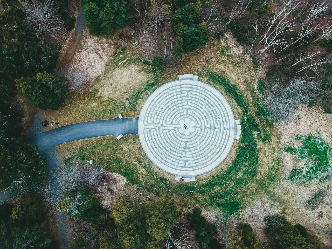 Maze, Labyrinth, Puzzle, Confusion, Pathway, Challenge, Complexity, Navigation, Solution, Direction, Journey, Explore, Adventure, Enigma, Intricate, Choices, Lost, Conundrum, Discovery, Escape, Search, Perplexing, Decision-making, Unraveling, 