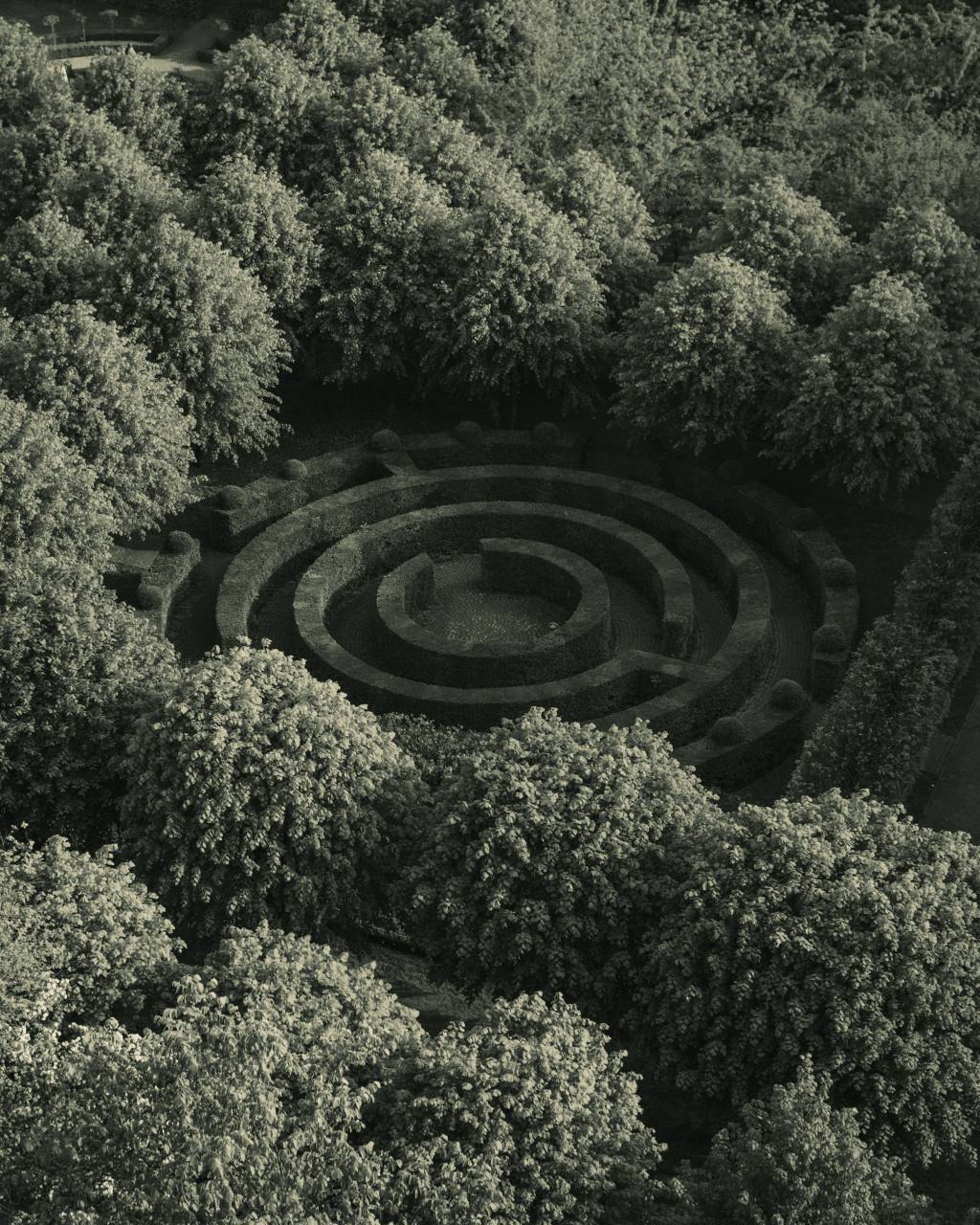 Maze, Labyrinth, Puzzle, Confusion, Pathway, Challenge, Complexity, Navigation, Solution, Direction, Journey, Explore, Adventure, Enigma, Intricate, Choices, Lost, Conundrum, Discovery, Escape, Search, Perplexing, Decision-making, Unraveling, 