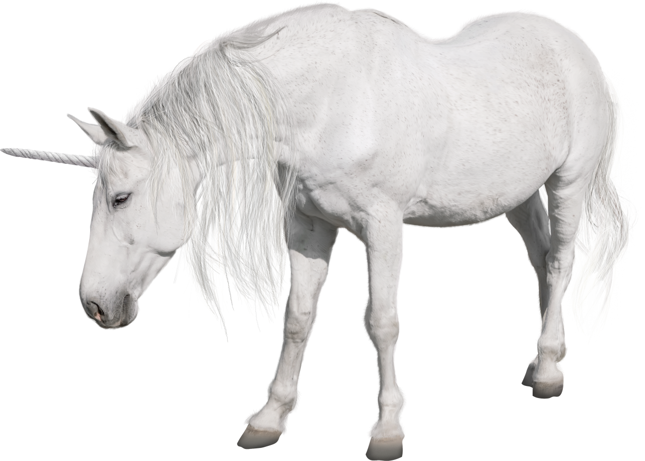  unicorn,overlay,png,horse,animal,stallion,mammal,farm,nature,mare,mane,outdoors,livestock,rural scene,domestic animals,ranch