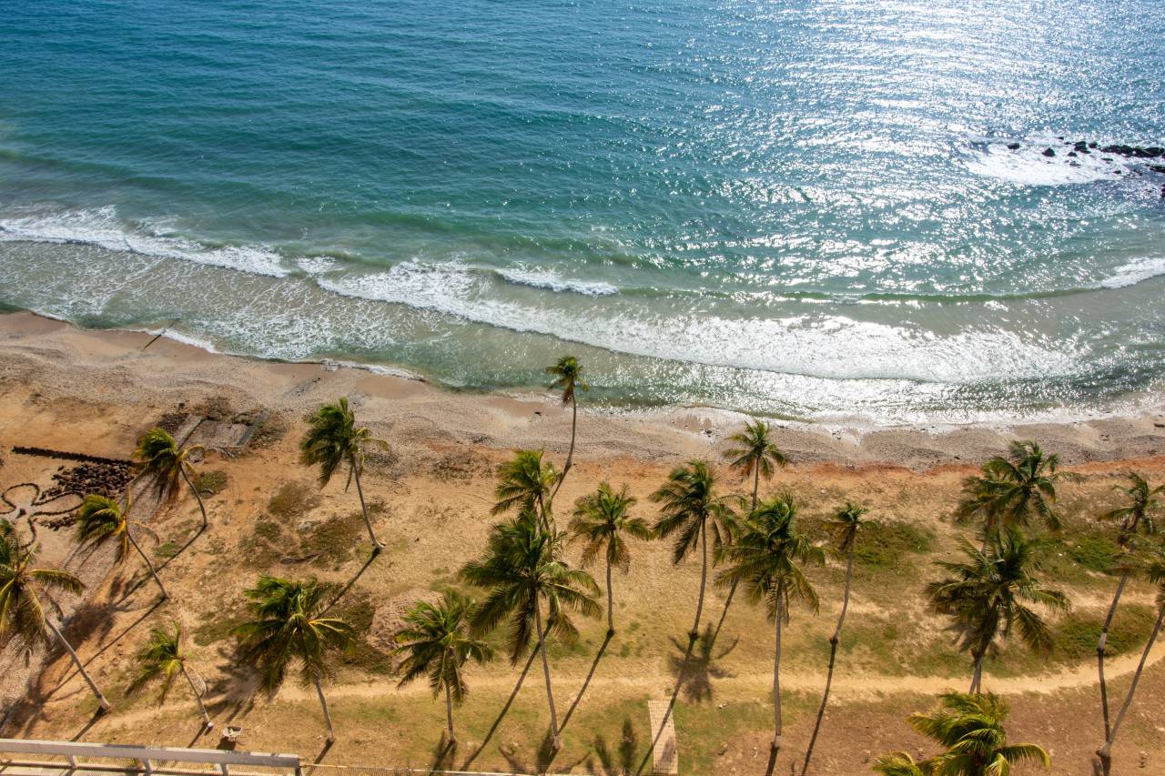 isla, playa, venezuela, américa, margarita, paisaje, sur, naturaleza, costa, isla, caribe, mar, azul, arena, océano, tropical, agua, verano, turismo, viajes, hermosa, olas, relax, exótico, orilla, Pacífica, vacaciones, belleza, islas, atracción, costa, palmeras, atlántico, tranquilo, panorámico,