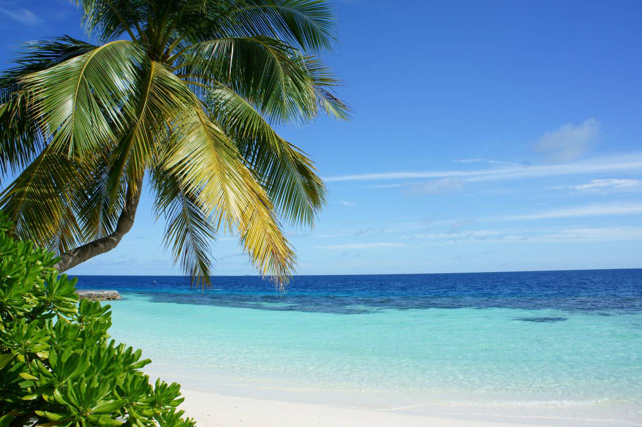 caribbean;beach,nature,summer,blue,vacations,tropical climate,sand,coastline,water,travel,idyllic,outdoors,tourist resort,palm tree,landscape,seascape,relaxation,travel destinations,beauty in nature,tree,tourism,wave,tranquil scene,day,cloud,sky, 