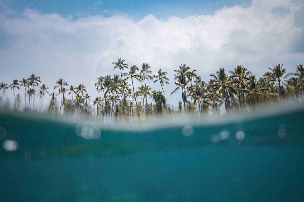 🥇 Image of vacations caribbean blue nature tropical climate summer ...