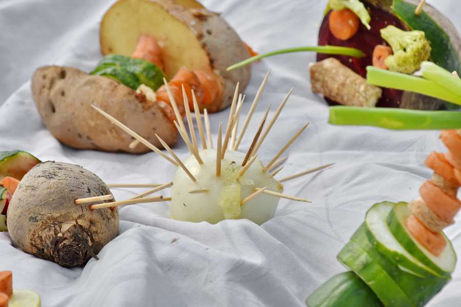 creativity, handmade, onion, sticks 