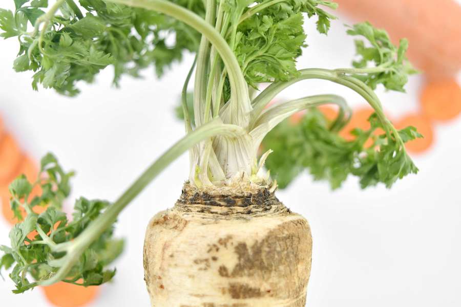 vegetable, parsley, leaf, ?food?, produce 