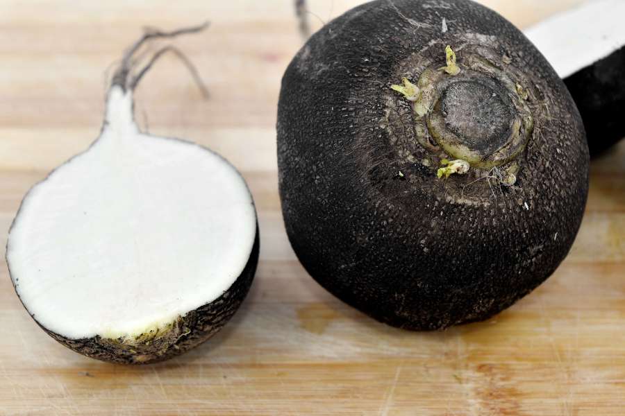 agriculture, black, radish, root, vegetable 