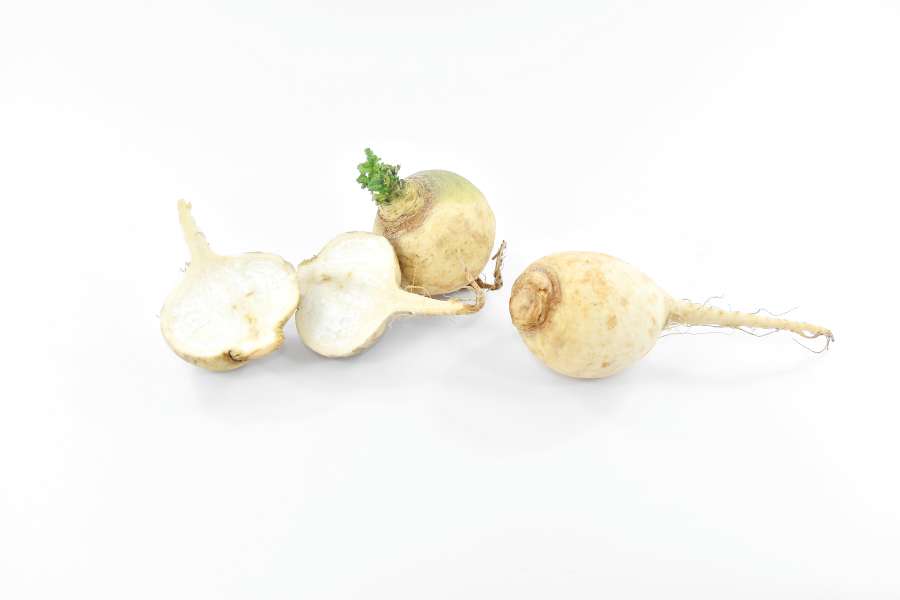 radish, white, vegetable, root, ?food?, nature 