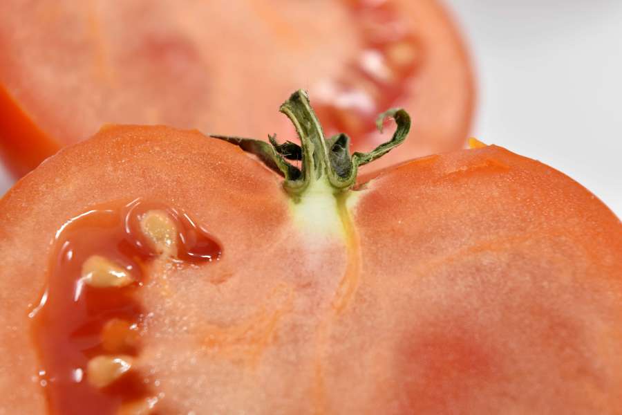 close-up, cross section, seed, tomato, fresh 