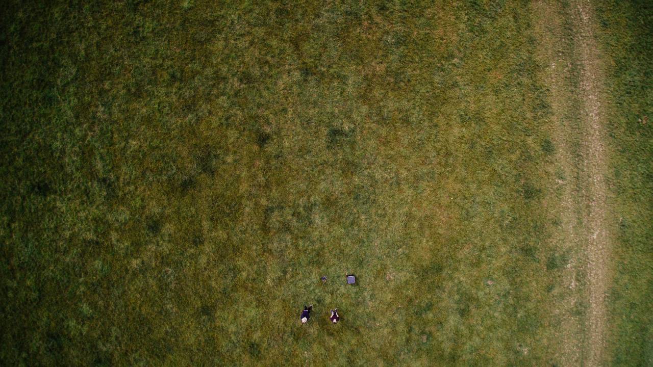 aerial, forest, woods, trees, people, camp, grass, bond, relax, chill, green
, 