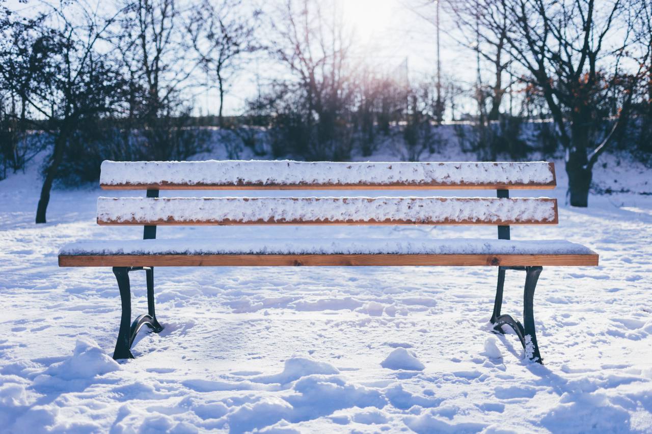 bench, outdoor, snow, winter, iceberg, trees, plant, sunny, day
, 
