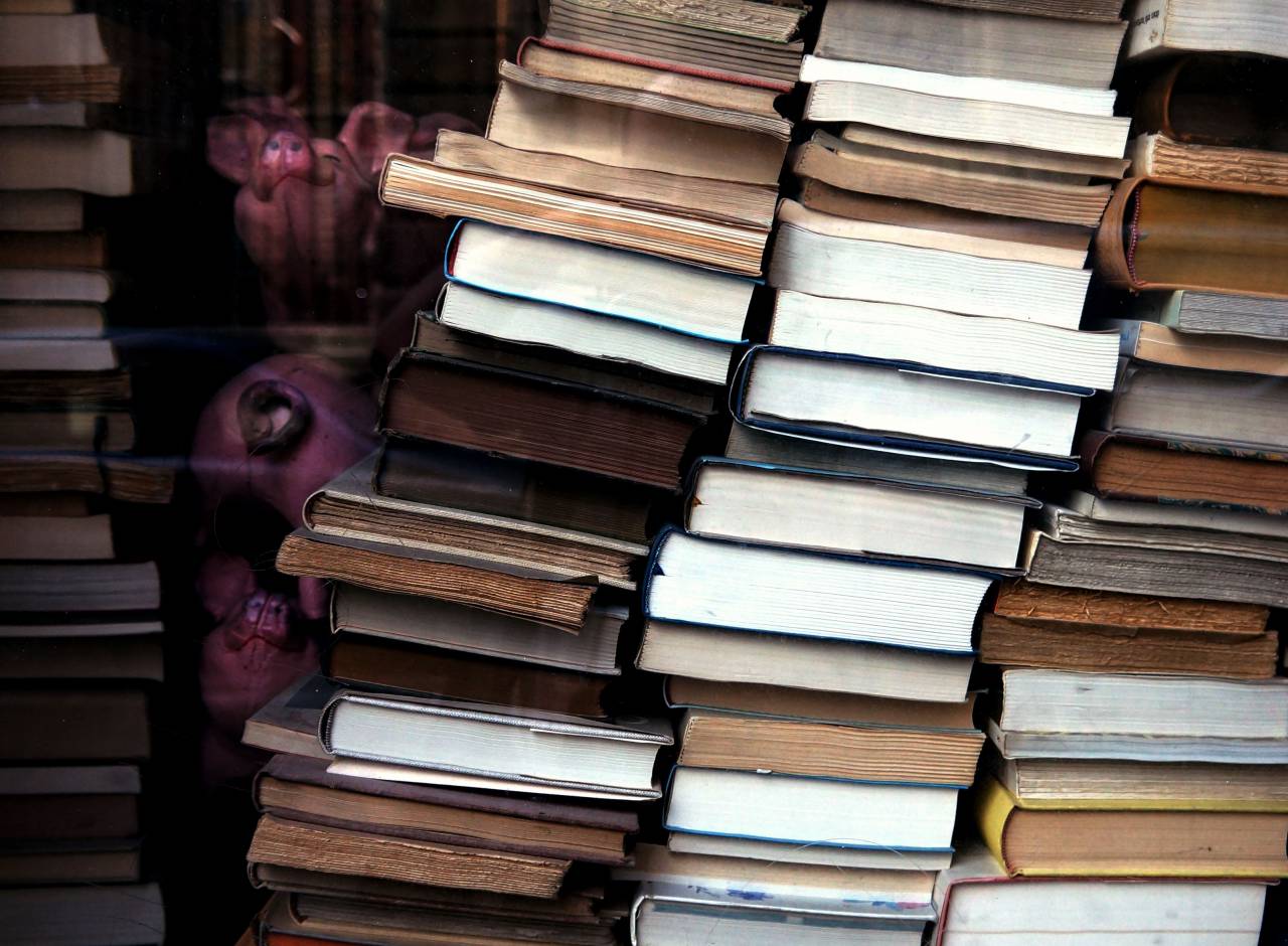 biblioteca, conocimiento, educación, escuela, leer, libros,