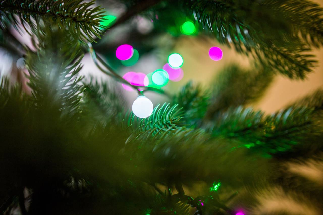 Navidad, árbol, luces, decoraciones, adornos, festivo, vacaciones,