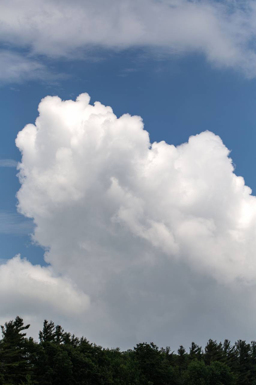 clouds, sky, nature, outdoors, environment, climate, wind, blue, atmosphere, cotton, soft, weather, fluffy, trees, forest
, 