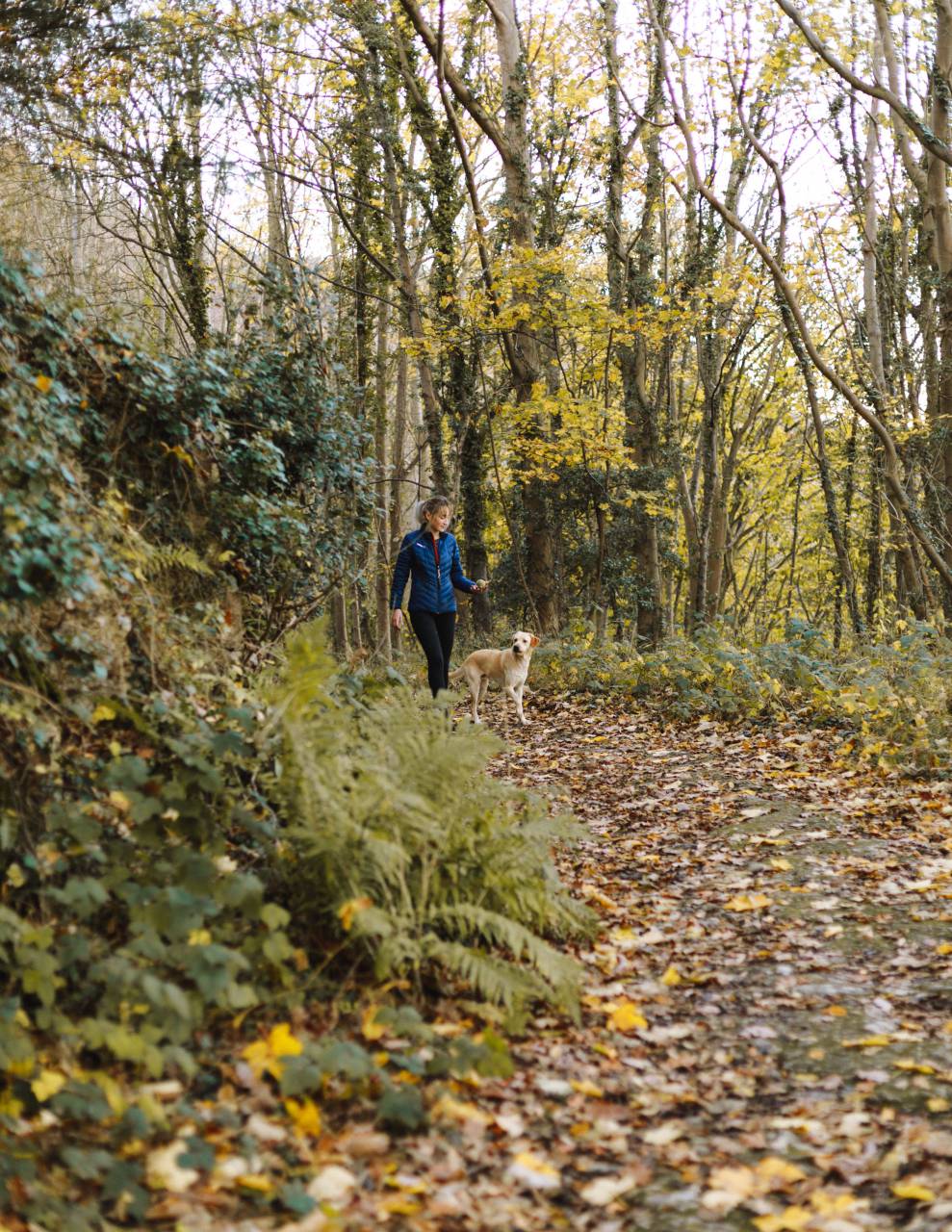 dog, walking, hiking, woman, trek, nature, outdoors, foliage, leaves, trees, forest, woods, female, person, animal, pet, workout, exercise, active, environment
, 