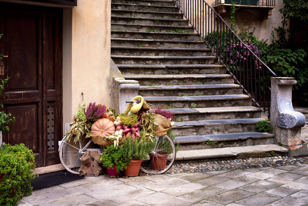 exterior, pumpkins, flowers, decoration, display, fall, arrangement, doorstep, autumn, seasonal, harvest, plants, stairs, bicycle
, 