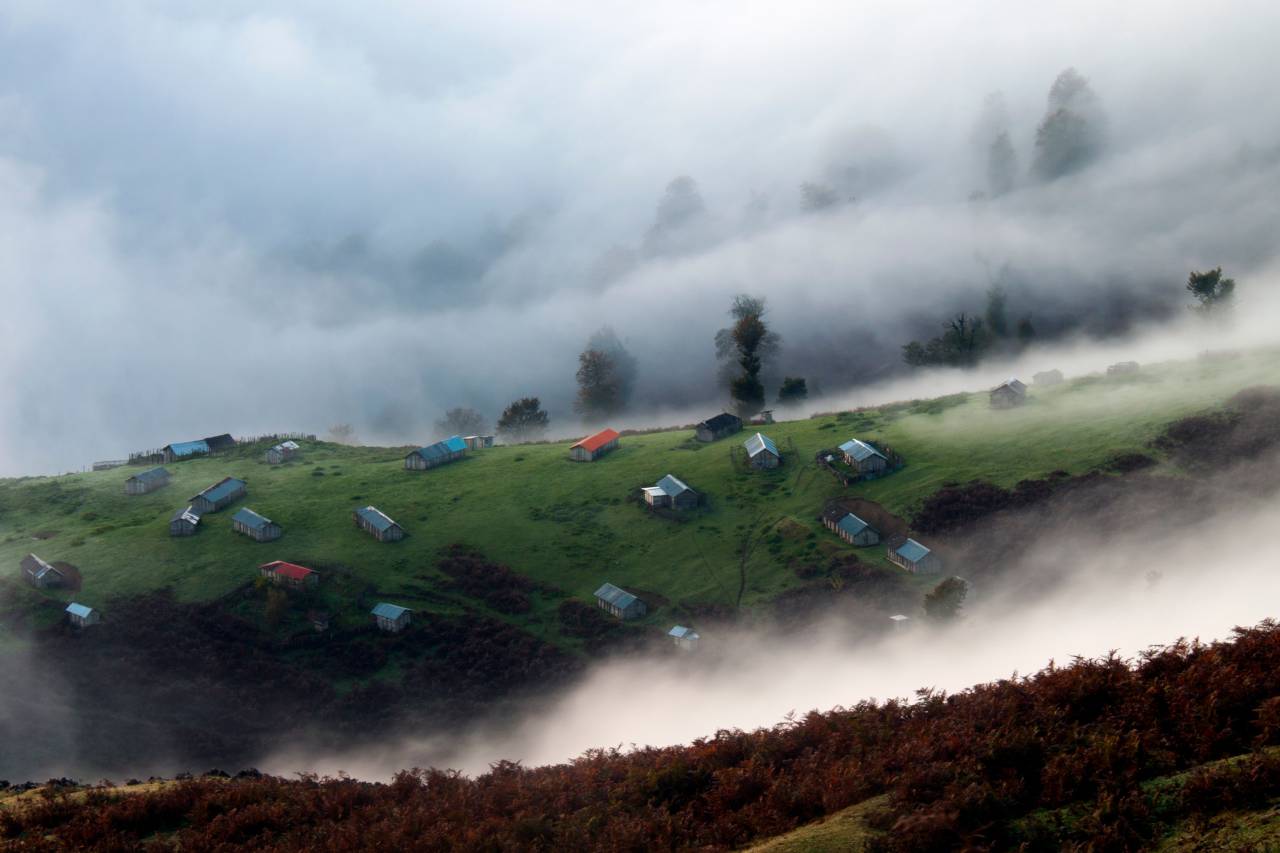 Highland, paisaje, naturaleza, verde, césped, casas, rural, nieblas, frío, árboles, plantas,