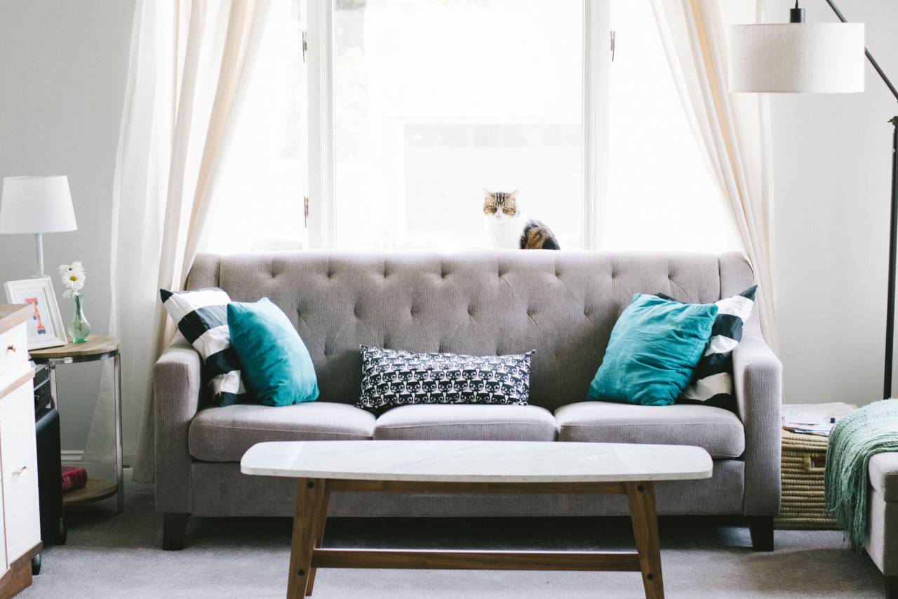 house, interior, sofa, couch, pillow, window, glass, curtain, table, lampshade, furniture, living room, cat, animal, pet
, 