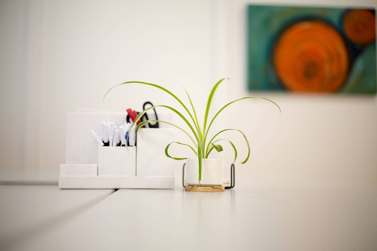 house, plant, interior, white, minimal, design, decor, decoration, vase, table, indoor, modern, desk, office, supplies, painting
, 