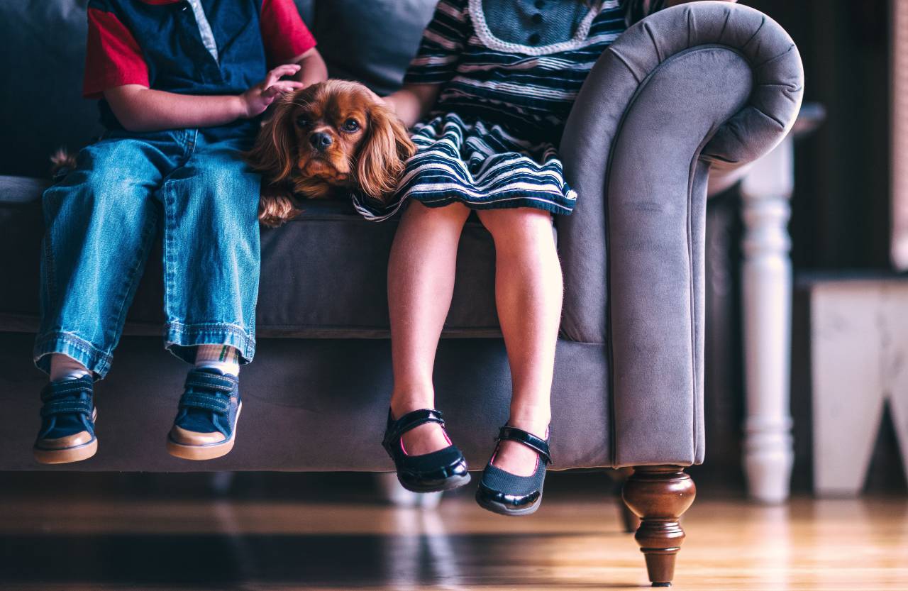 kids, children, friends, siblings, family, dog, pet, animal, couch, sofa
, 