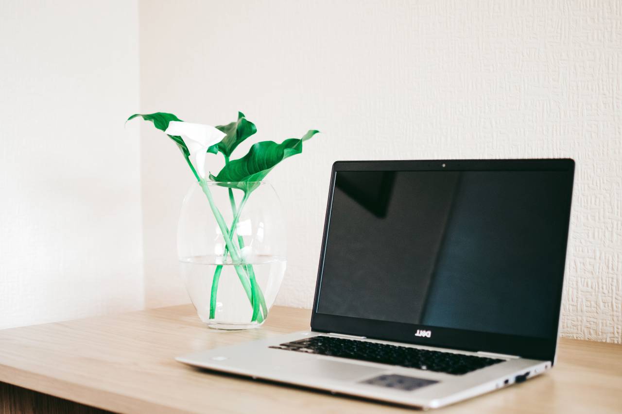 laptop, desk, flowers, lily, white, office, business, work, minimal, wood, wall, hd
, 