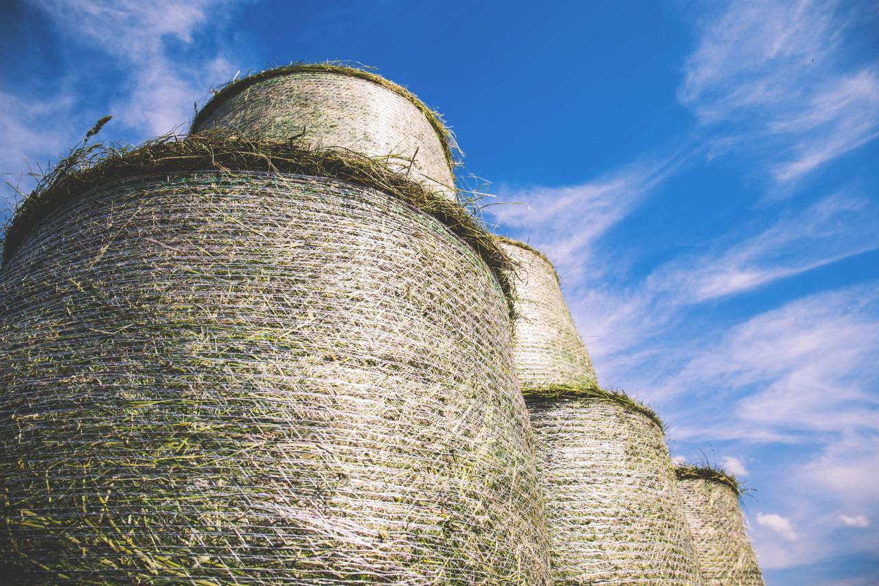 nature, harvest, crops, bales, stack, pile, sky, clouds
, 