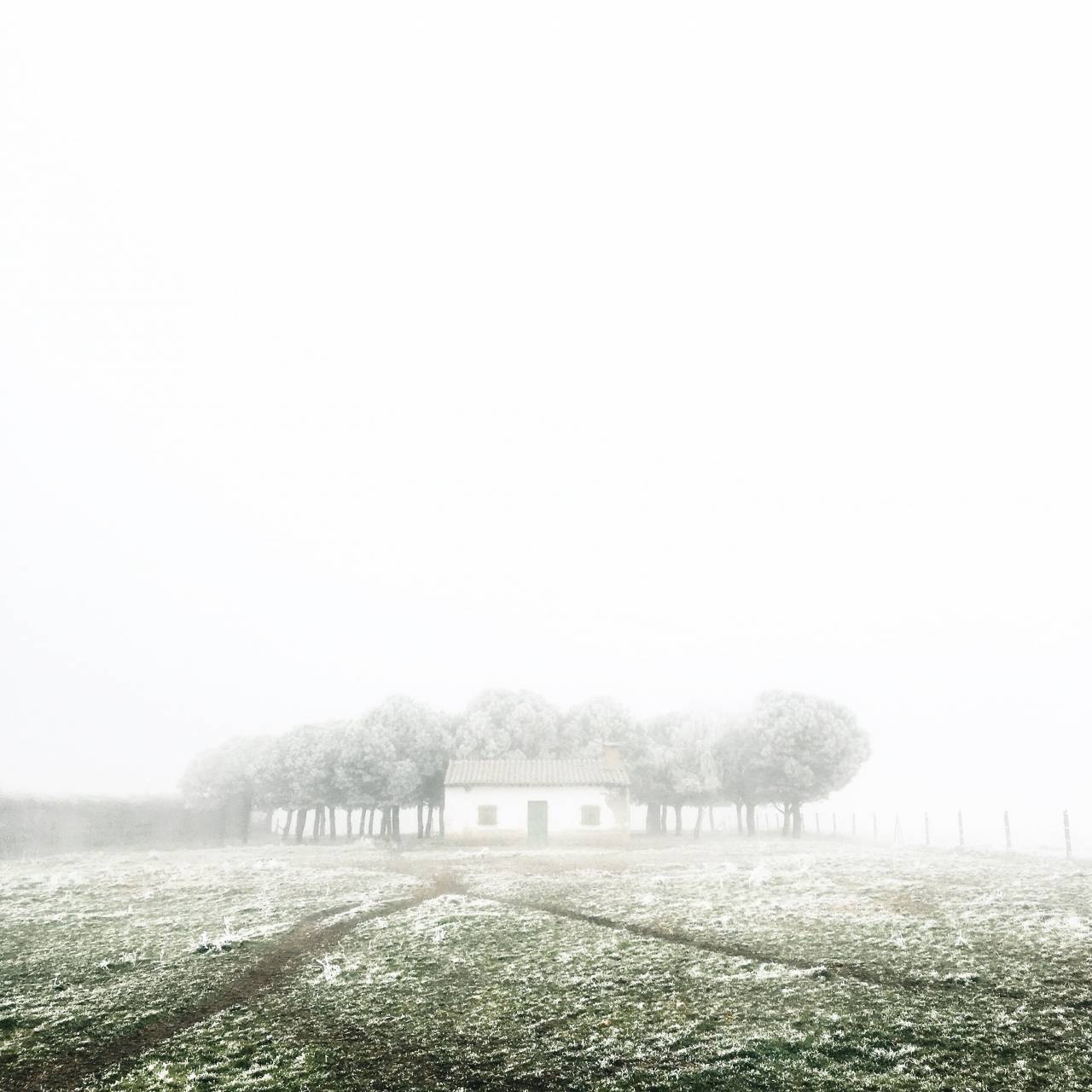 naturaleza, casa, casa, verde, hierba, campo, jardín, niebla, árboles, hojas,