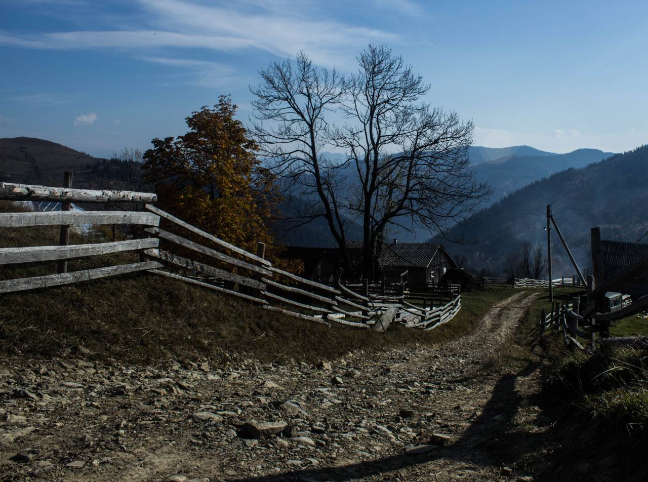 nature, mountains, landscape, autumn, road, tree, house, sun, shadow, sky, far away, rest, impression, travel, freedom, trip, calm, life
, 