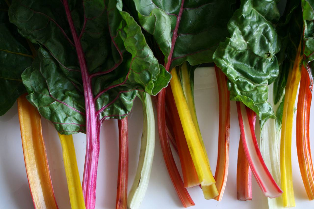 Vegetales, hojas, alimentos, acelgas, arco iris, remolacha, saludable, comiendo, ingrediente, vegano, hoja, planta, fresco, orgánico, verde, colorido, suizo, jardín,