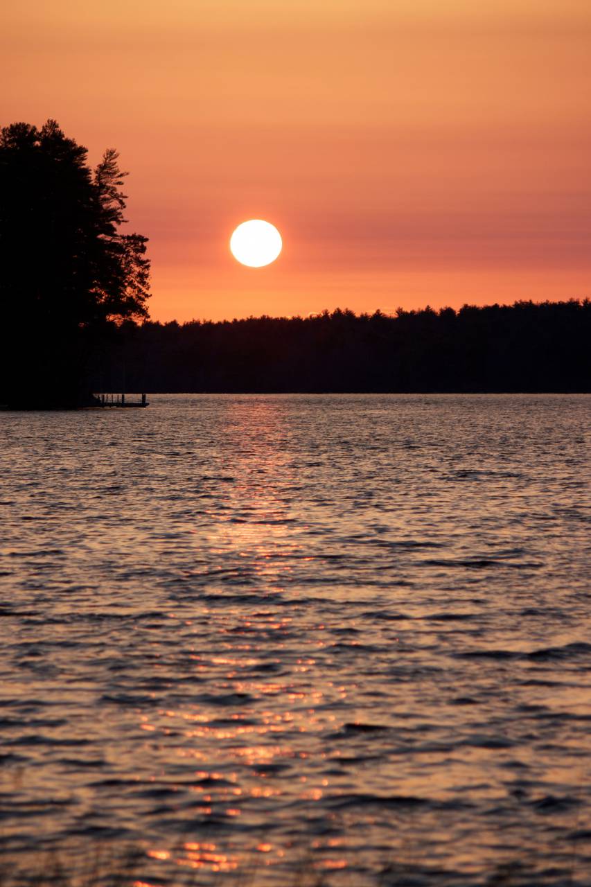 warm, lake, sunset, orange, trees, silhouette, forest, water, nature, outdoors, vacation, relaxing, beautiful, summer
, 