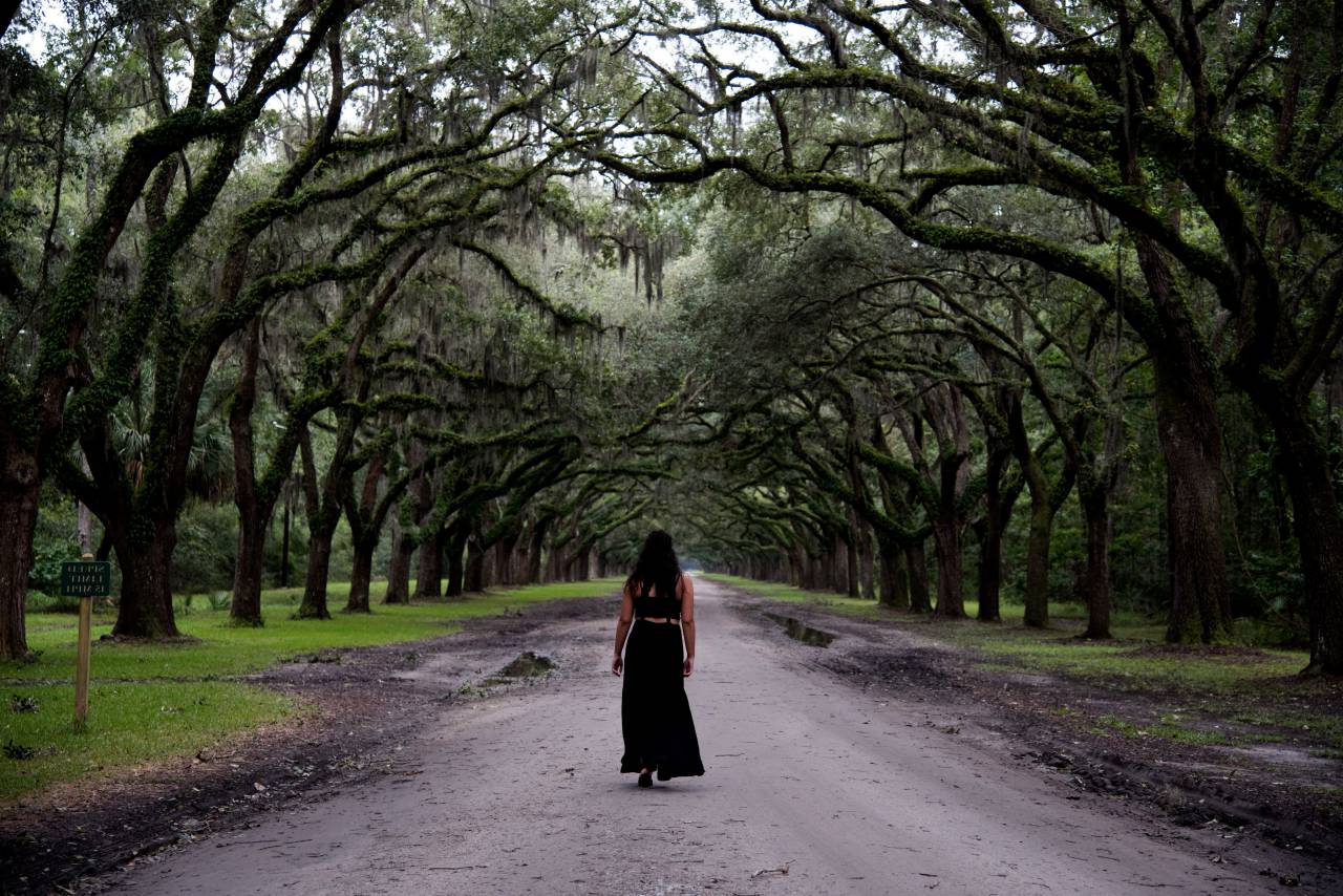 Mujer, negro, vestido, bosque, caminar, sendero, camino, viaje, hembra, niña,