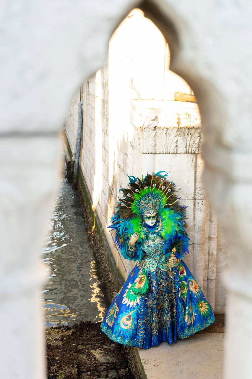 party, carnival, happy, celebration, holiday, festive, celebrate, fun, colorful, festival, background, decoration, joy, event, greeting, design, happiness, new, woman, decor, girl, brazil, funny, fiesta, costume, young, fashion, lifestyle, people, brazilian, culture, celebrating, authentic, makeup, clothes, 