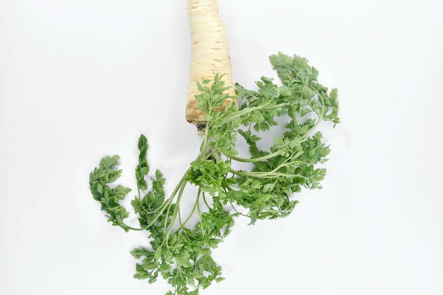 vegetal, salsa, folha, erva, fresco, ?alimento?
