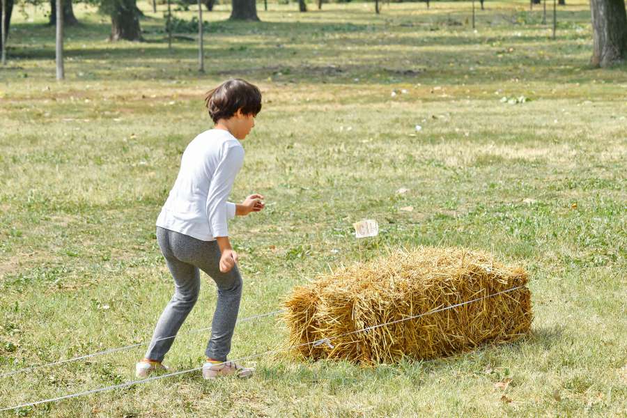 countryside, exercise, physical activity 