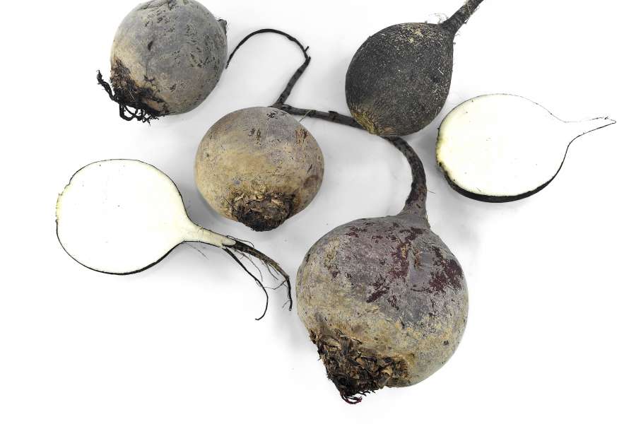 beetroot, black and white, radish, roots 