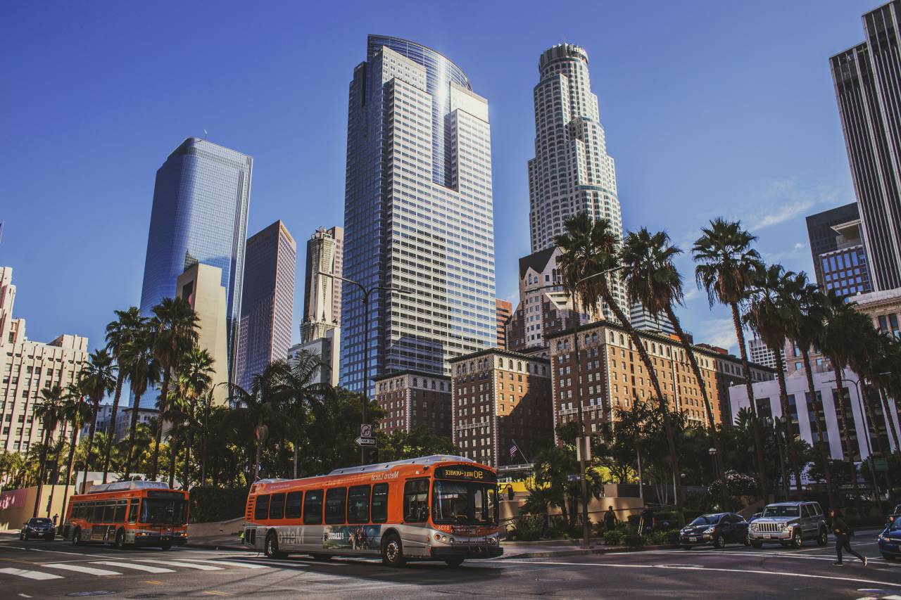 architecture, building, infrastructure, structure, establishment, windows, condominium, hotel, urban, city, road, pedestrian, trees, leaves, bus, vehicle, transportation
, 