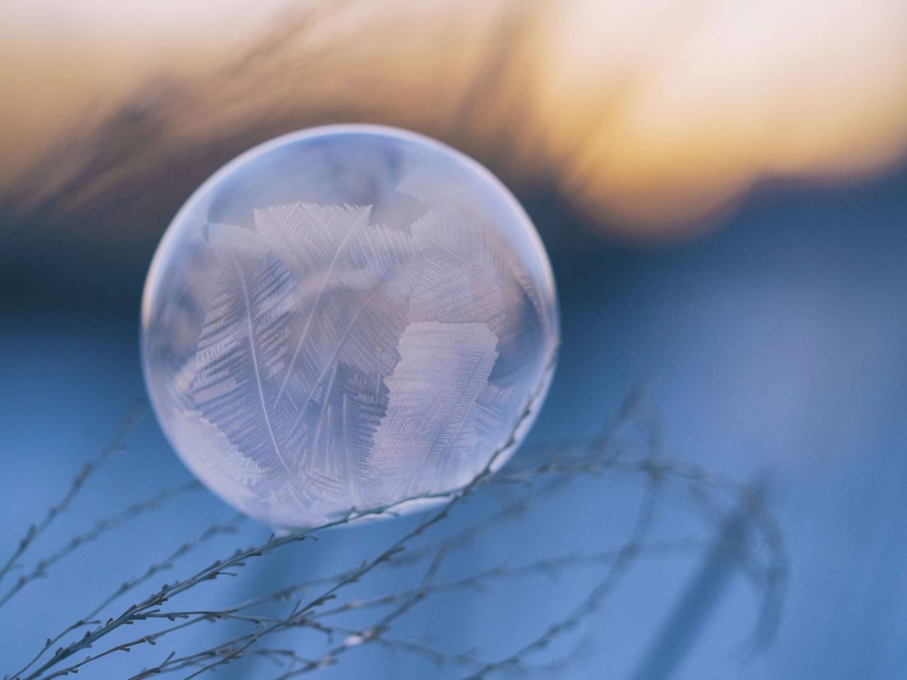 feather, dream catcher, nature, leaf, round, circle, glass
, 