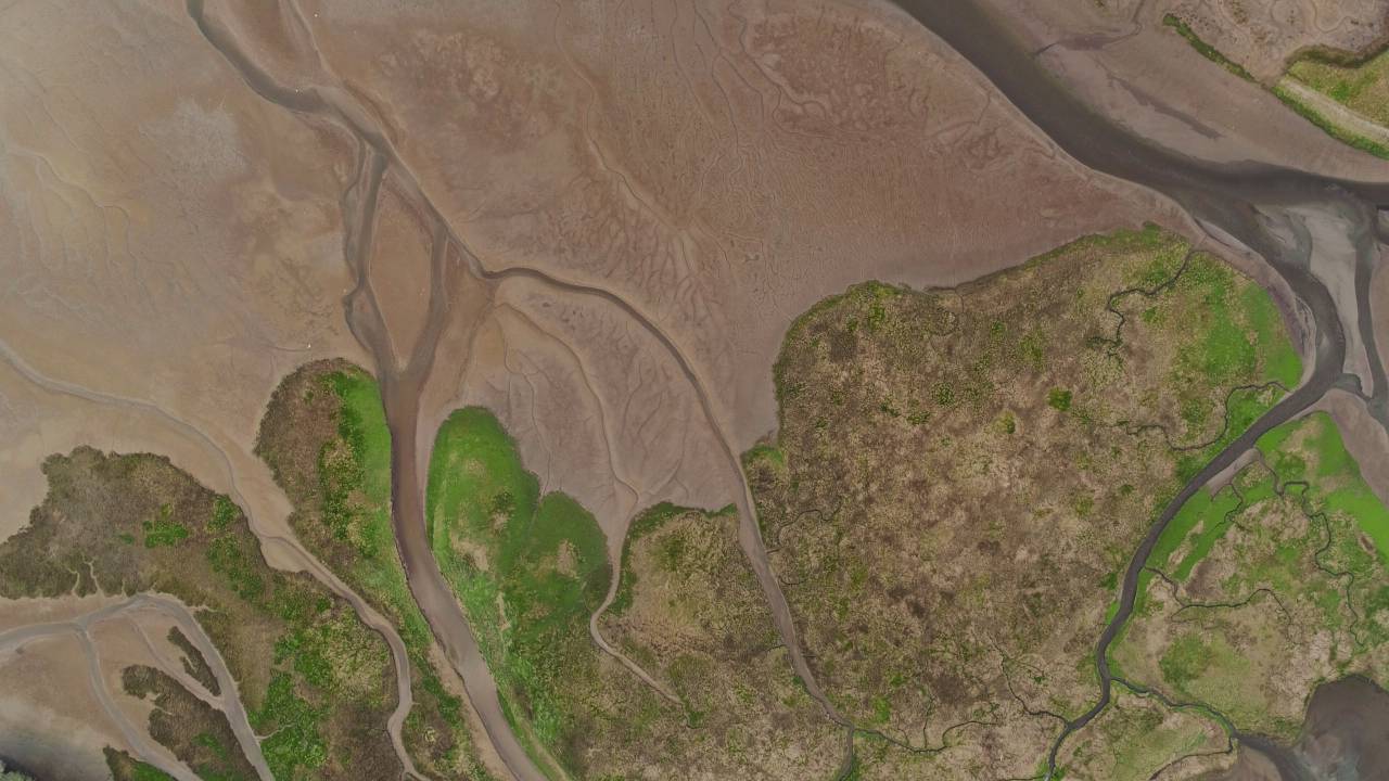 Naturaleza, paisaje, vista aérea, agua, tierra, verde, césped, río, mapa, zona,