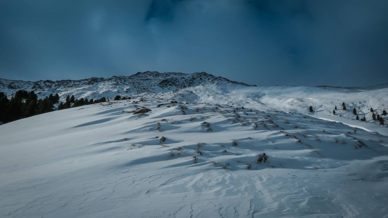 nieve, invierno, blanco, frío, clima, hielo, árboles, plantas, naturaleza, viajes, aventuras, montaña, trek,