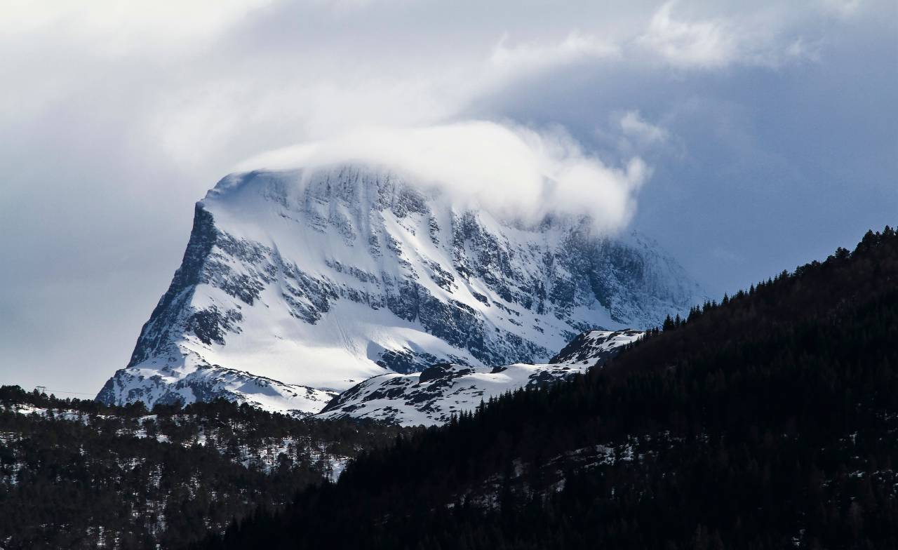 La nieve, el invierno, el blanco, el frío, el clima, el hielo, los árboles, las plantas, la naturaleza,