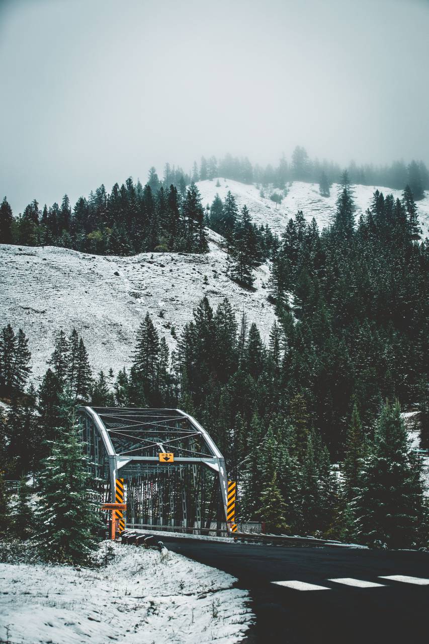 Invierno, nevando, nieve, puente, carretera, camino, viajes, niebla, niebla, mañana,