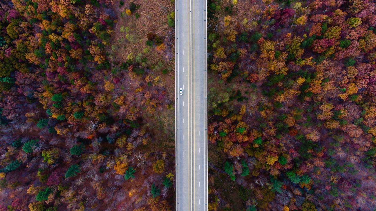 aerial, view, trees, plants, fall, autumn, nature, landscape. road, car, trip, travel
, 