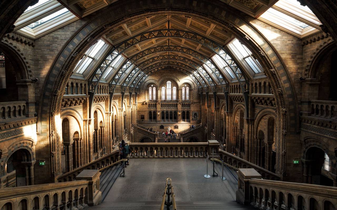 arquitectura, edificio, infraestructura, lugar turístico, londres, museo de historia natural,