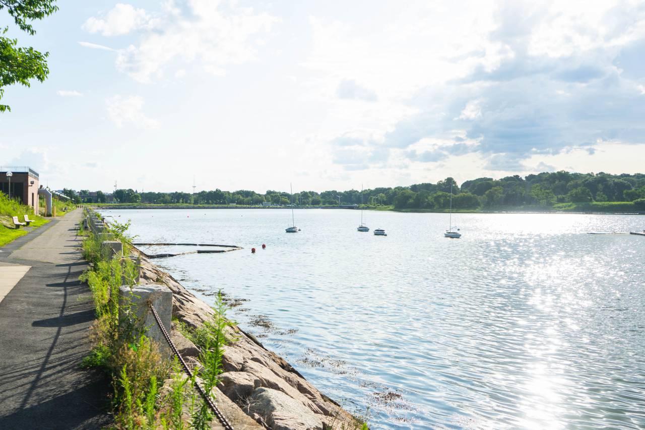 boats, harbor, shore, path, walkway, clouds, sky, water, horizon, daytime, park, sun, reflection, trees
, 