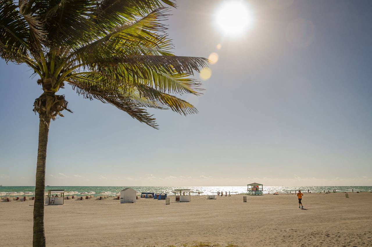 sea, ocean, water, wave, beach, shore, coast, nature, tree, plant, sunny, day, summer, cottage, vacation, people, suntan, horizon
, 