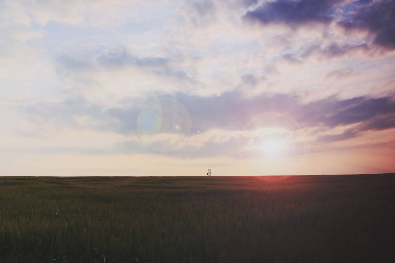 puesta de sol, cielo, nubes, campo, hierba, naturaleza, paisaje, rayos de sol,