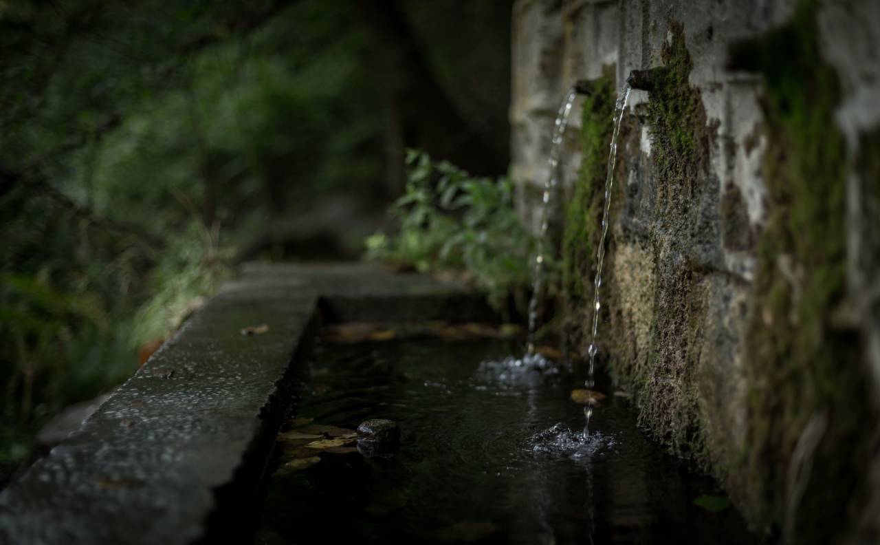 wall, water, drainage, blur, dark, nature, plant, backyard
, 