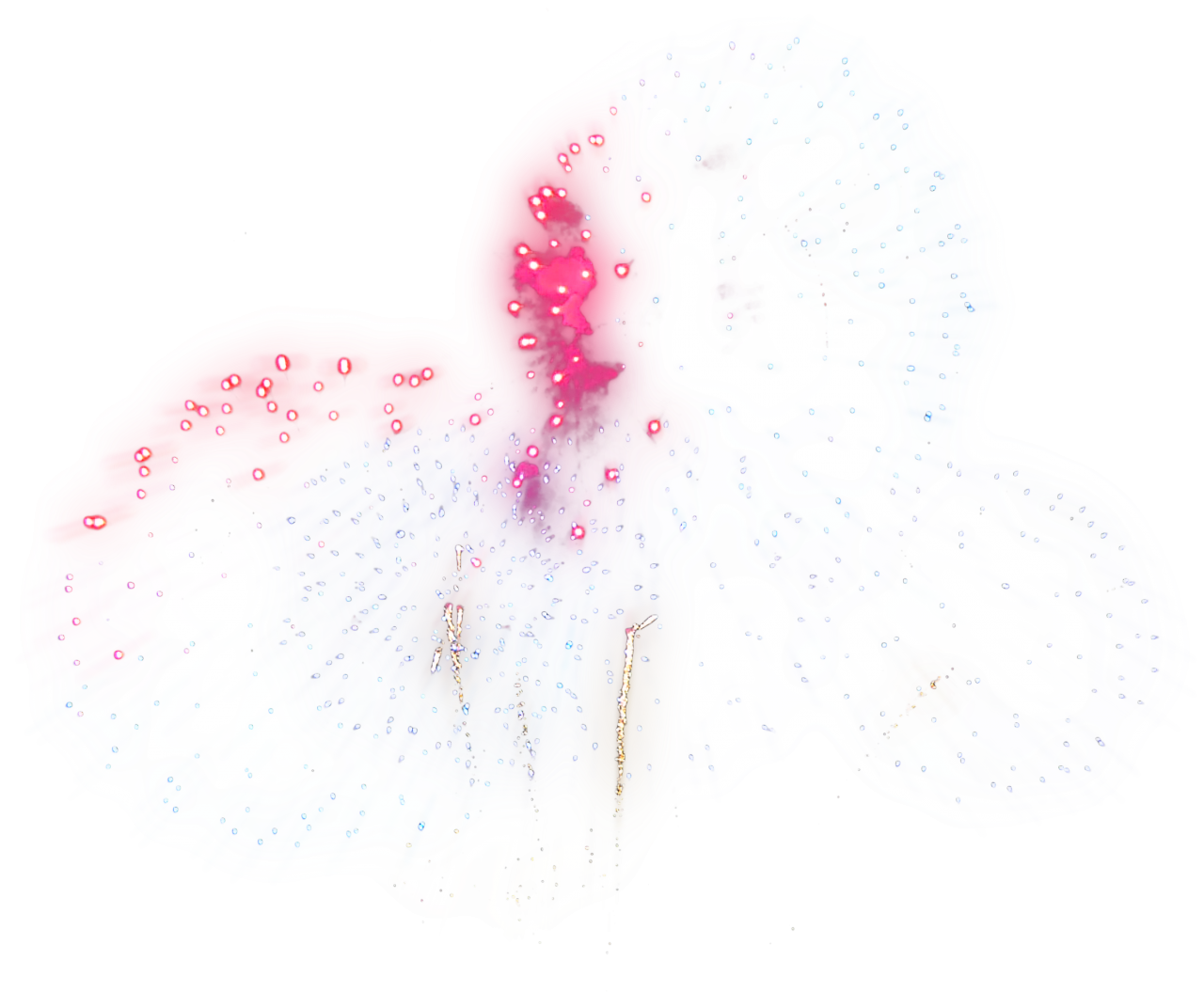  Fireworks,overlay,png,nature,animal,abstract,backgrounds,science,close-up,underwater,water
