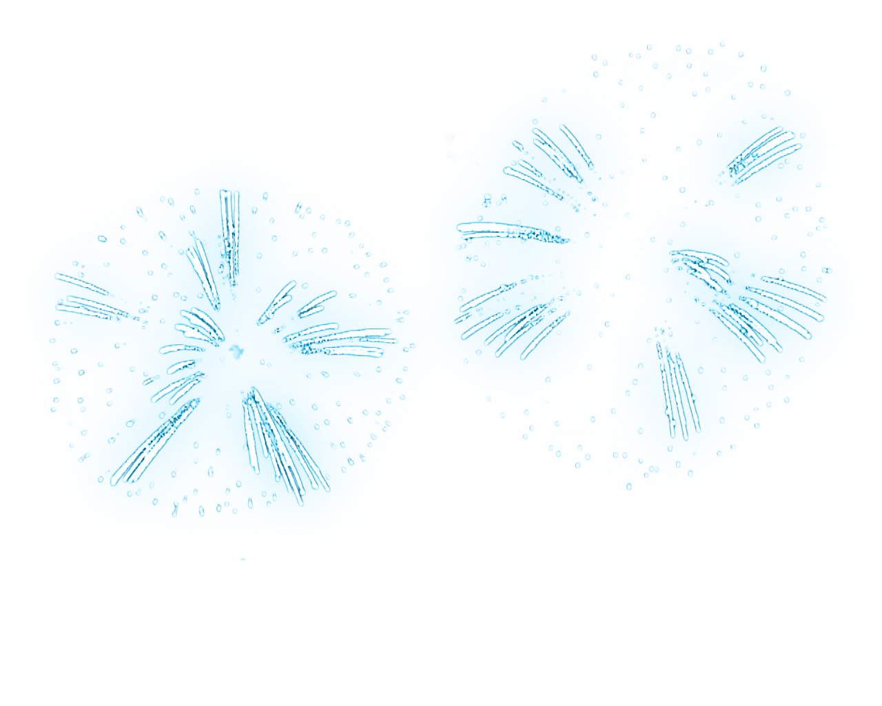  Fireworks,overlay,png,blue,abstract,backgrounds,nature,illustration,water,vector,animal
